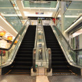 Торговый центр STAR Durable Elevator Escalators Indoor